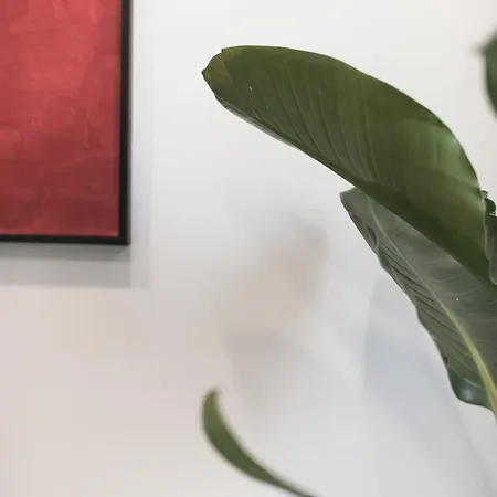 Casa Albani Appartement Rome